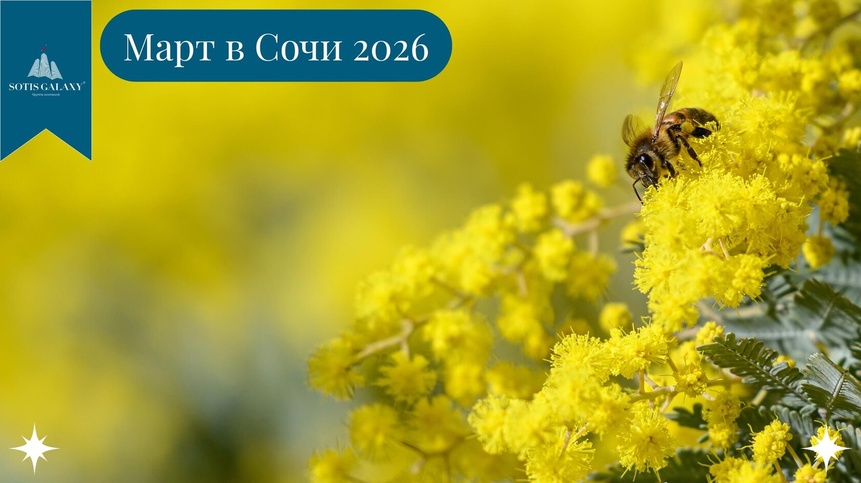 Март в Сочи 2026