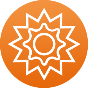 website icon