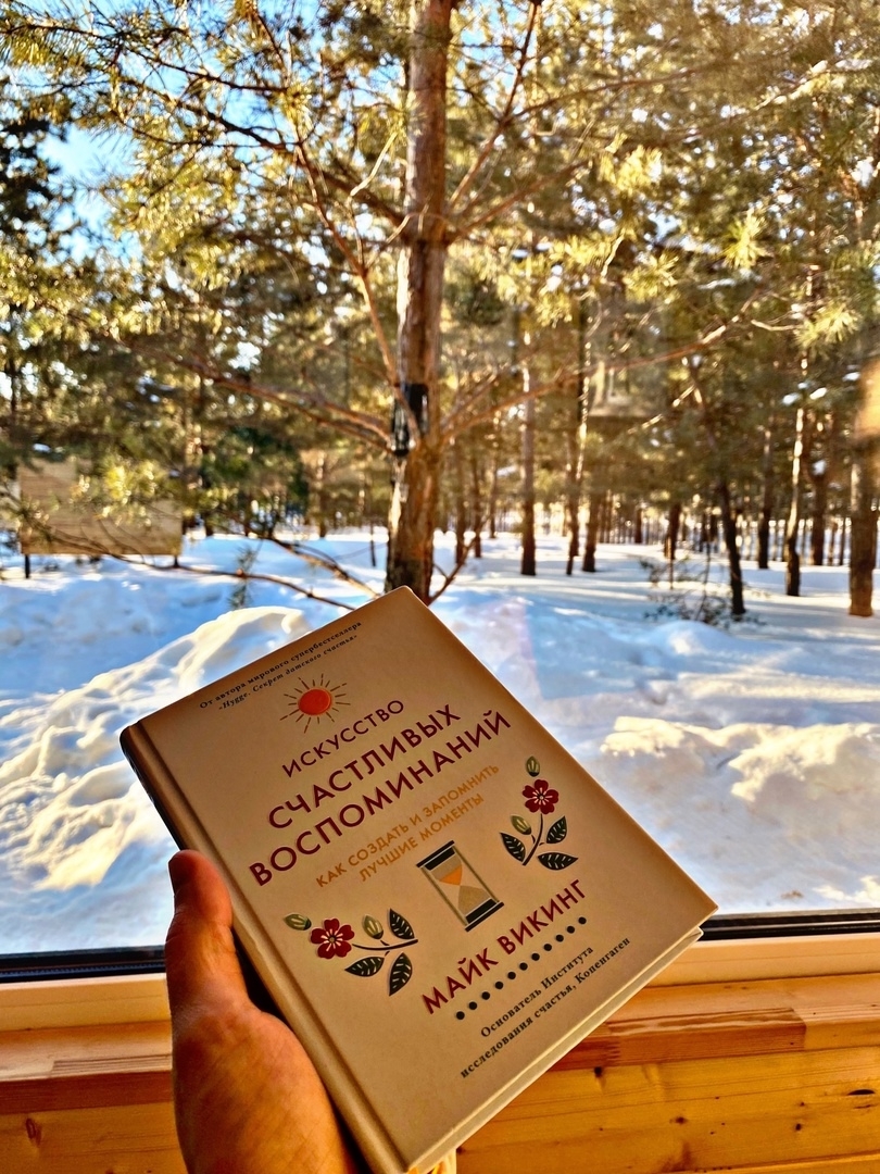Книга и солнечный лес