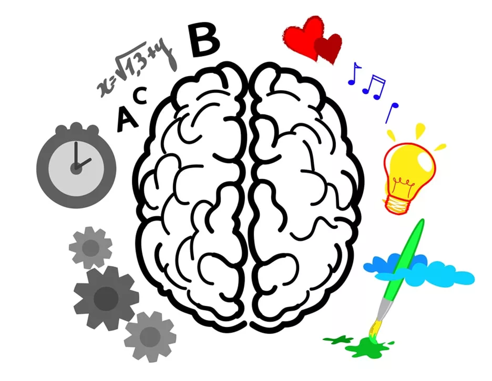 Мозг ум. Творческий мозг. Разминка для мозга. Мозг ребенка. Развитие мозга играть