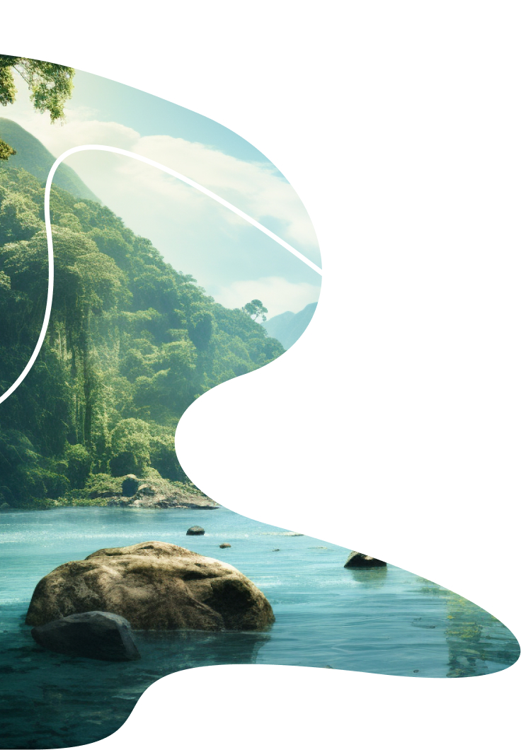 Tropical forest and lake