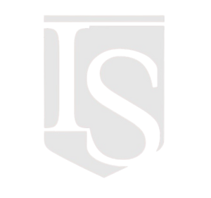 website icon