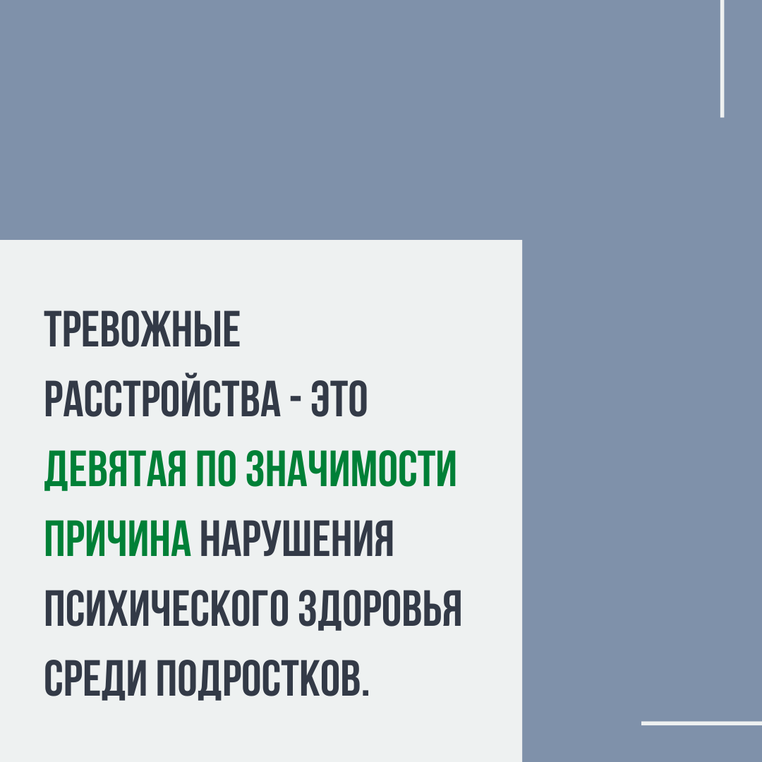 Как поддержать организм во время сдачи экзаменов