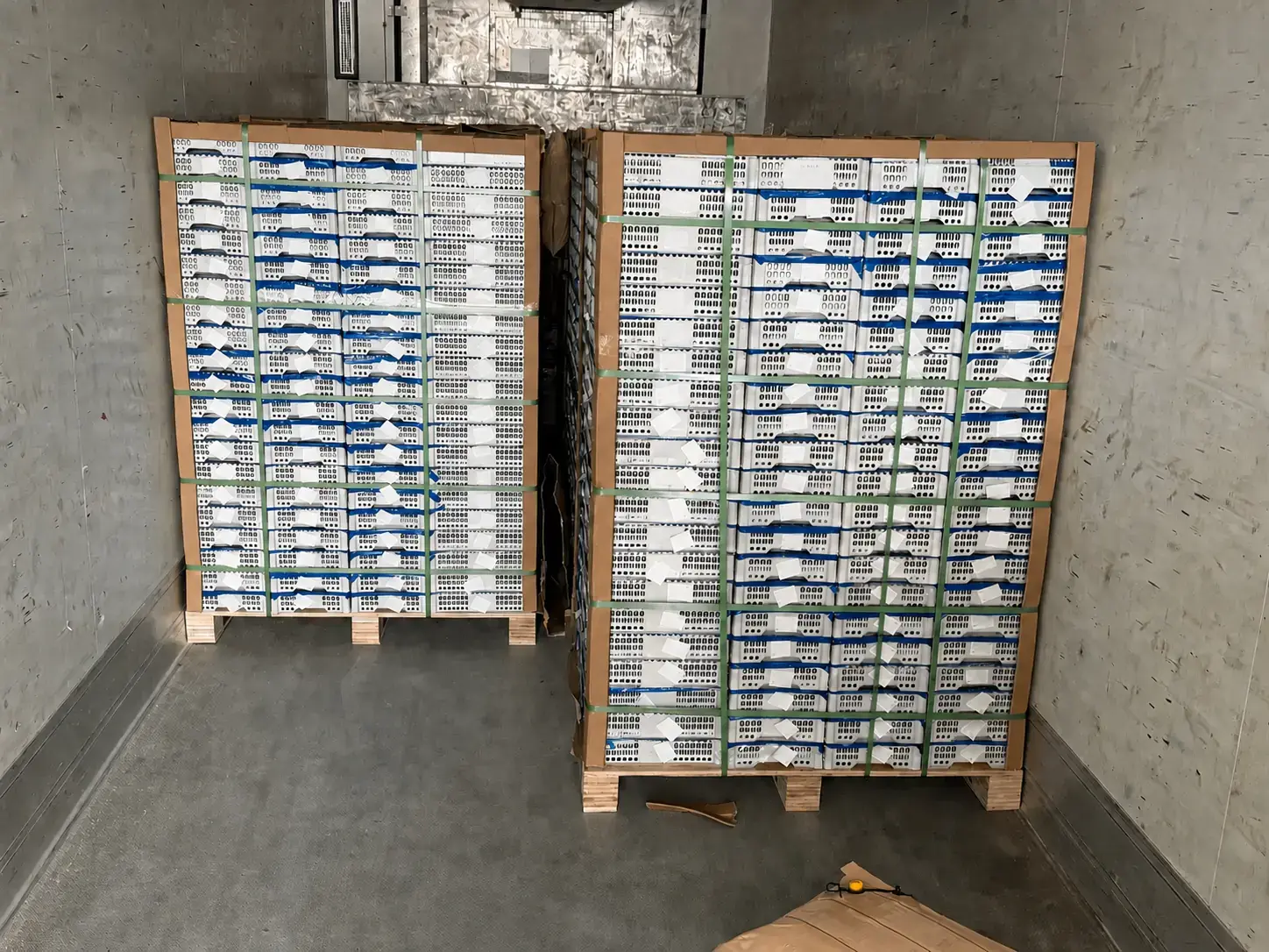 Two palletised loads secured inside refrigerated transport