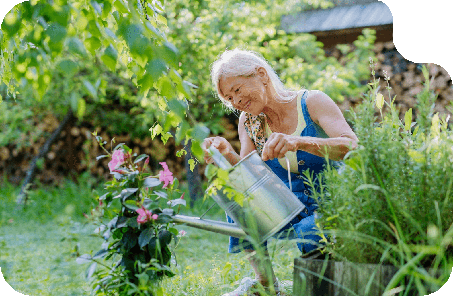 Женщина поливает розовые цветы лейкой в своем саду