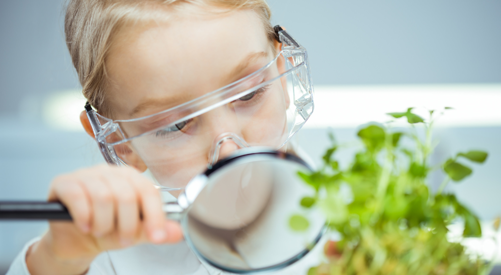 Темы, которые чаще всего встречаются