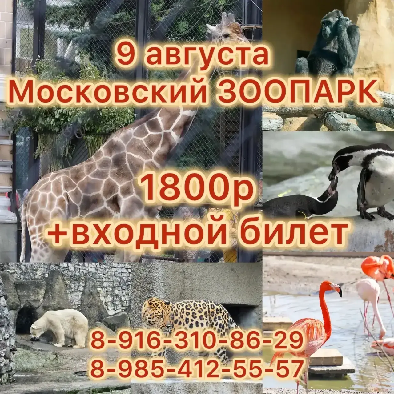 Московский зоопарк