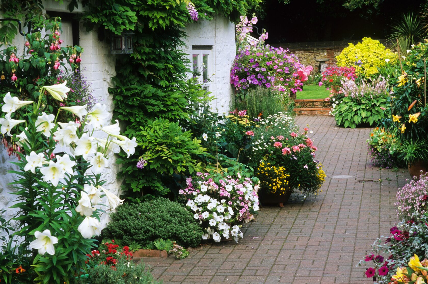 Как красиво посадить цветы в палисаднике фото