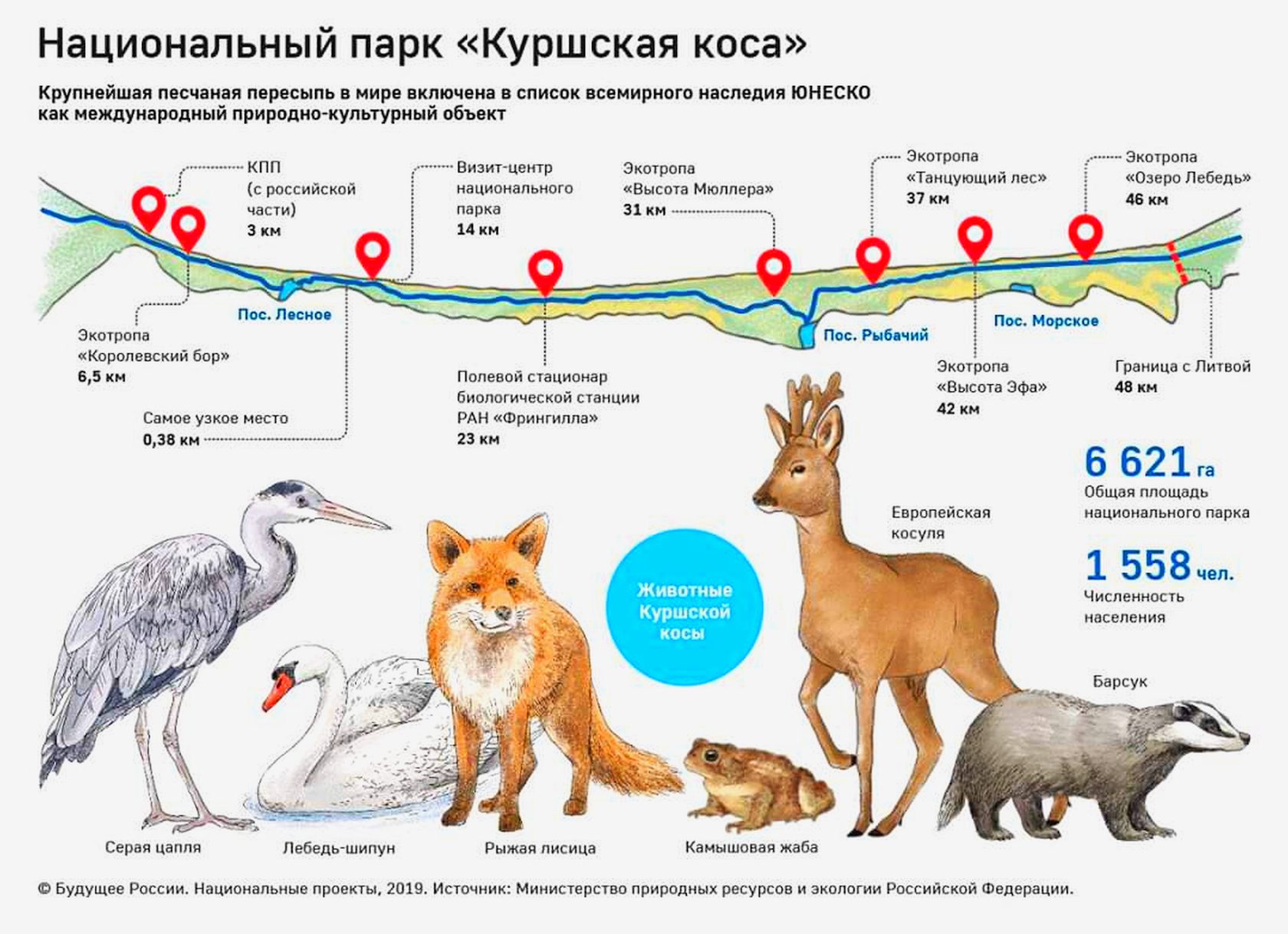 Карта растительного и животного мира калининградской области