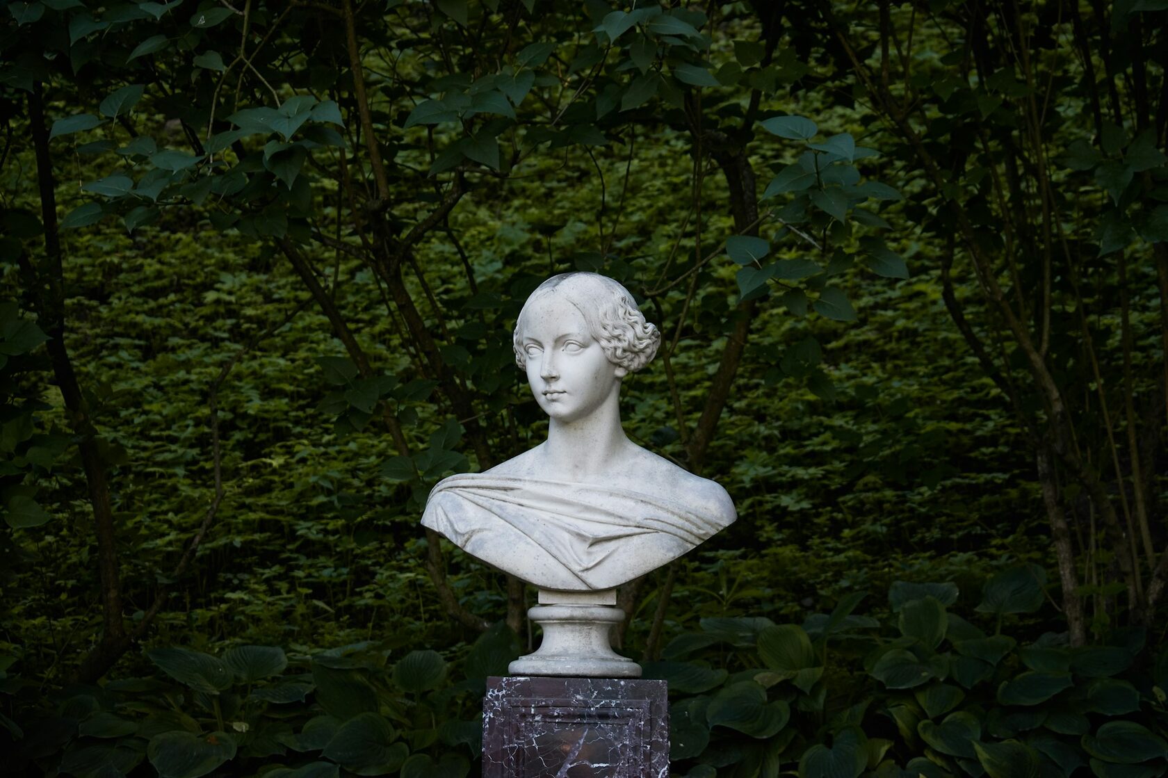 The Forest Queen
