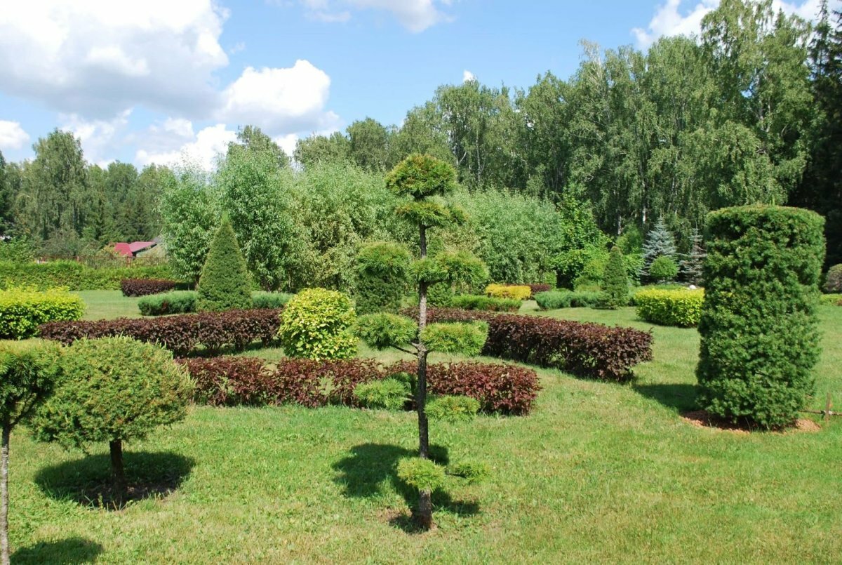 Ботанический парк Академгородка Новосибирск