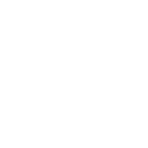 website icon