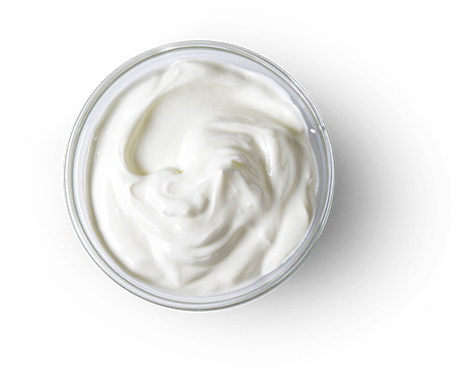  сухой сыр, сырный порошок