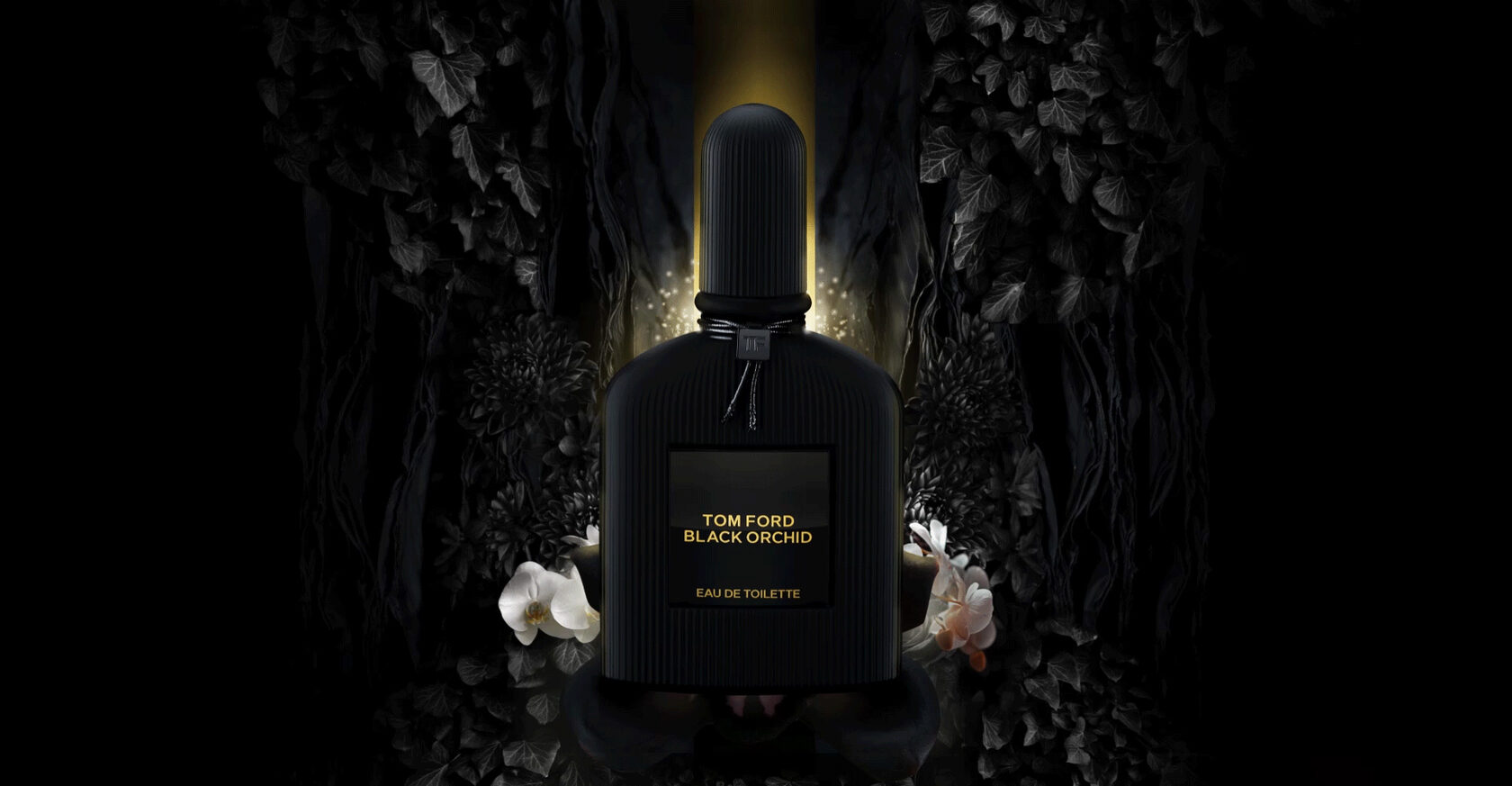 Темный запах. Tom Ford Black Orchid, 2006. Tom Ford Black Orchid реклама 2006. Том Форд Блэк орхид реклама. Tom Ford Black Orchid мужской.