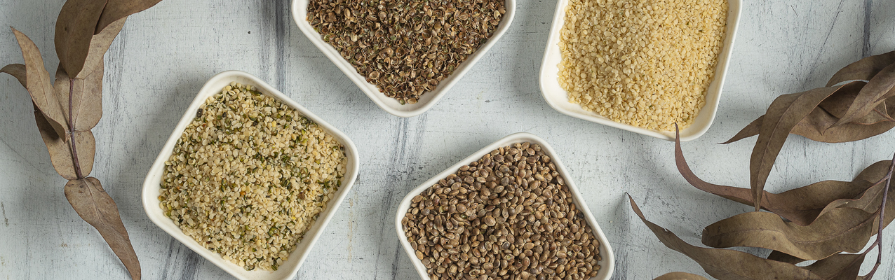 Что будет с вашим организмом, если каждый день есть семена конопли