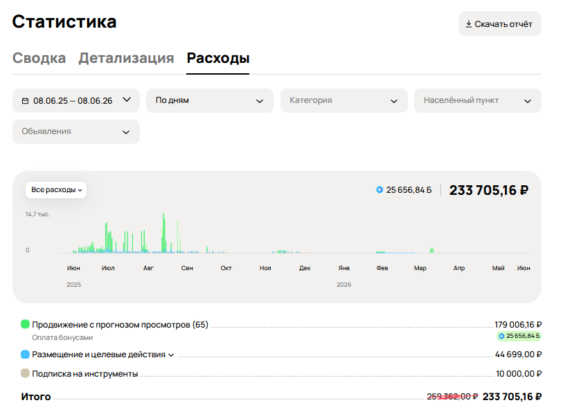 Реальная статистика расходов на рекламу Авито за год — 233 705 рублей