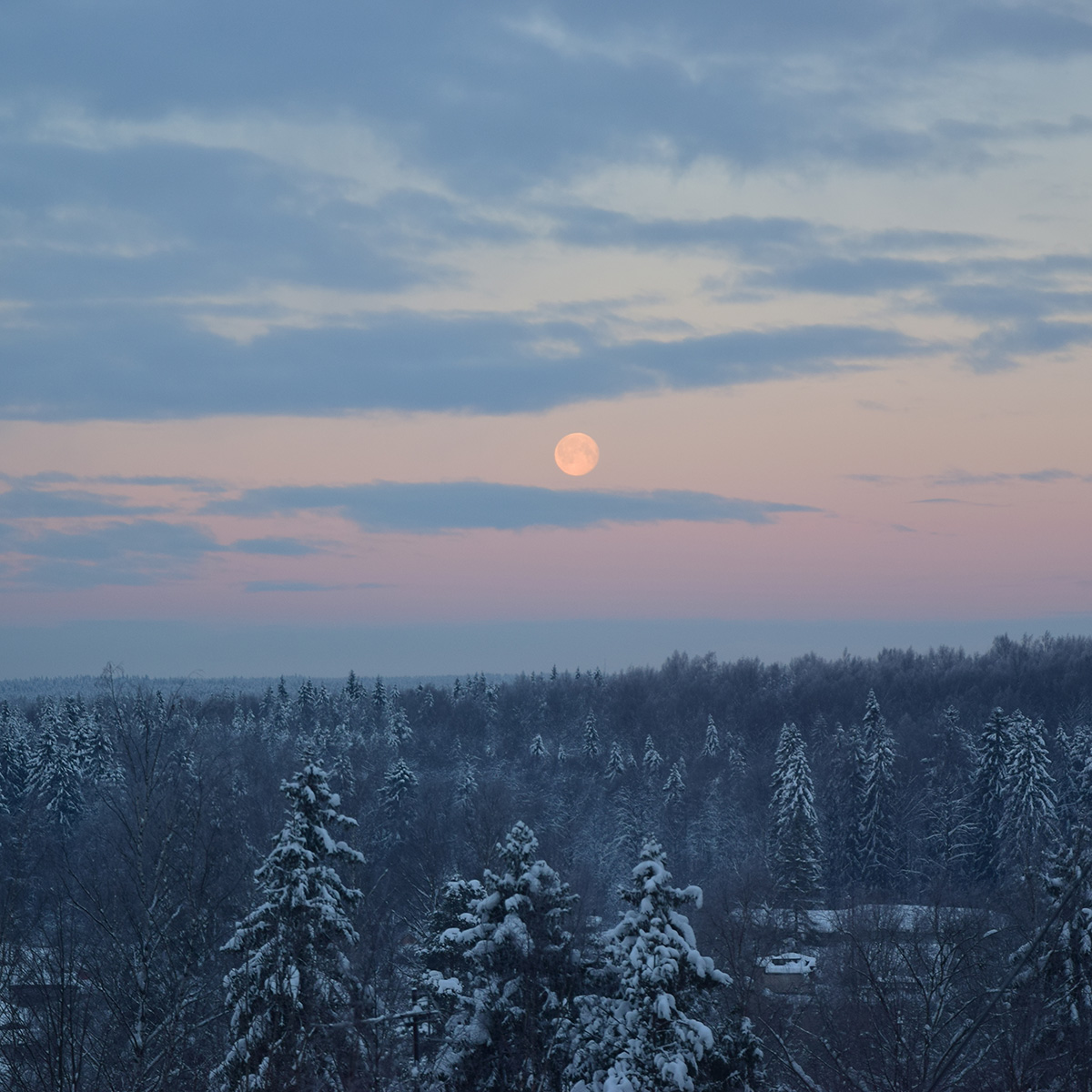 Авторское фото Надежды Кузнецовой, 2019 год