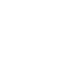 website icon
