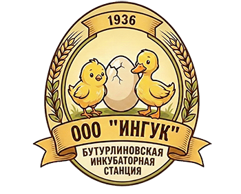 ООО "Ингук"