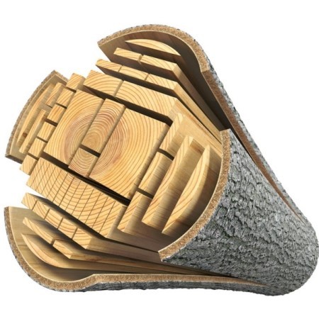 структура дерева