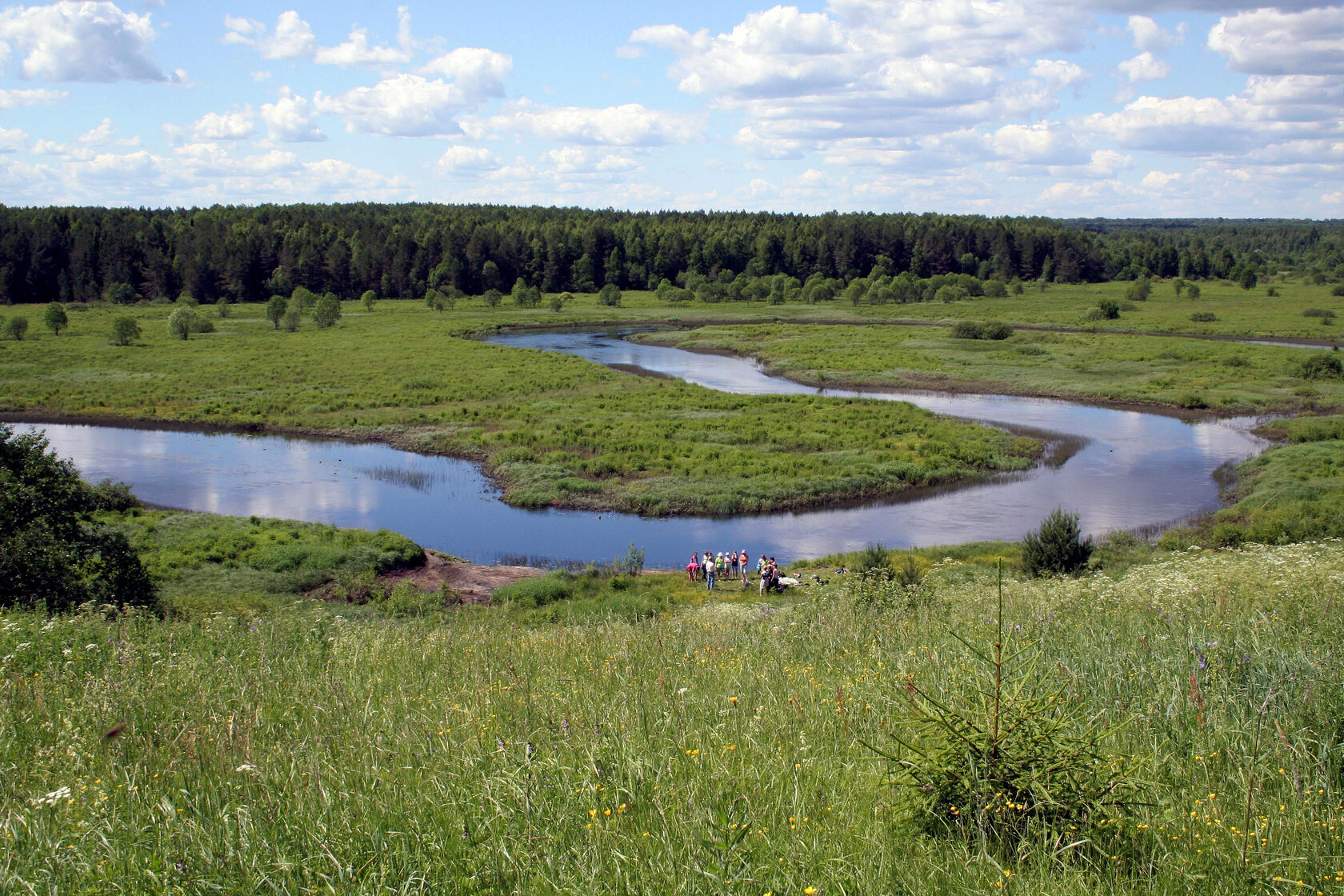 Река Молома Кировская область