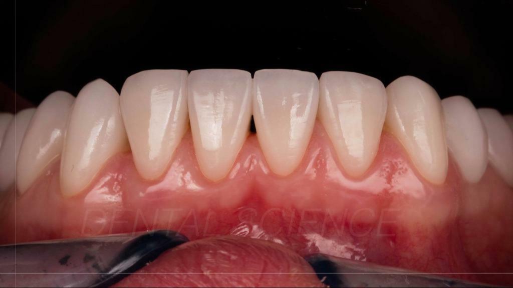 Фото с конференции 