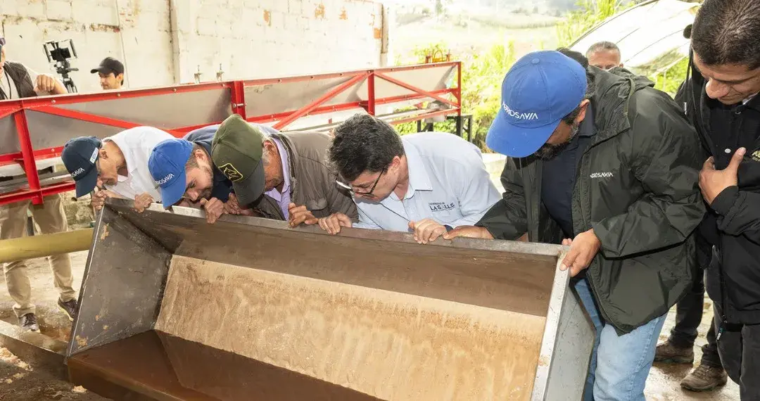 Unisalle inaugura planta semiindustrial para la producción sostenible de almidón de sagú en Pasca, Cundinamarca