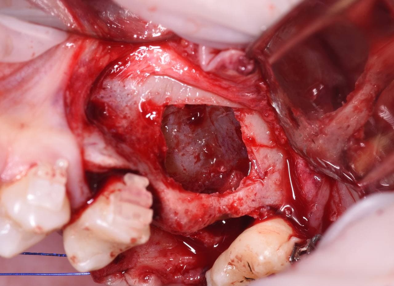 Фото с конференции 