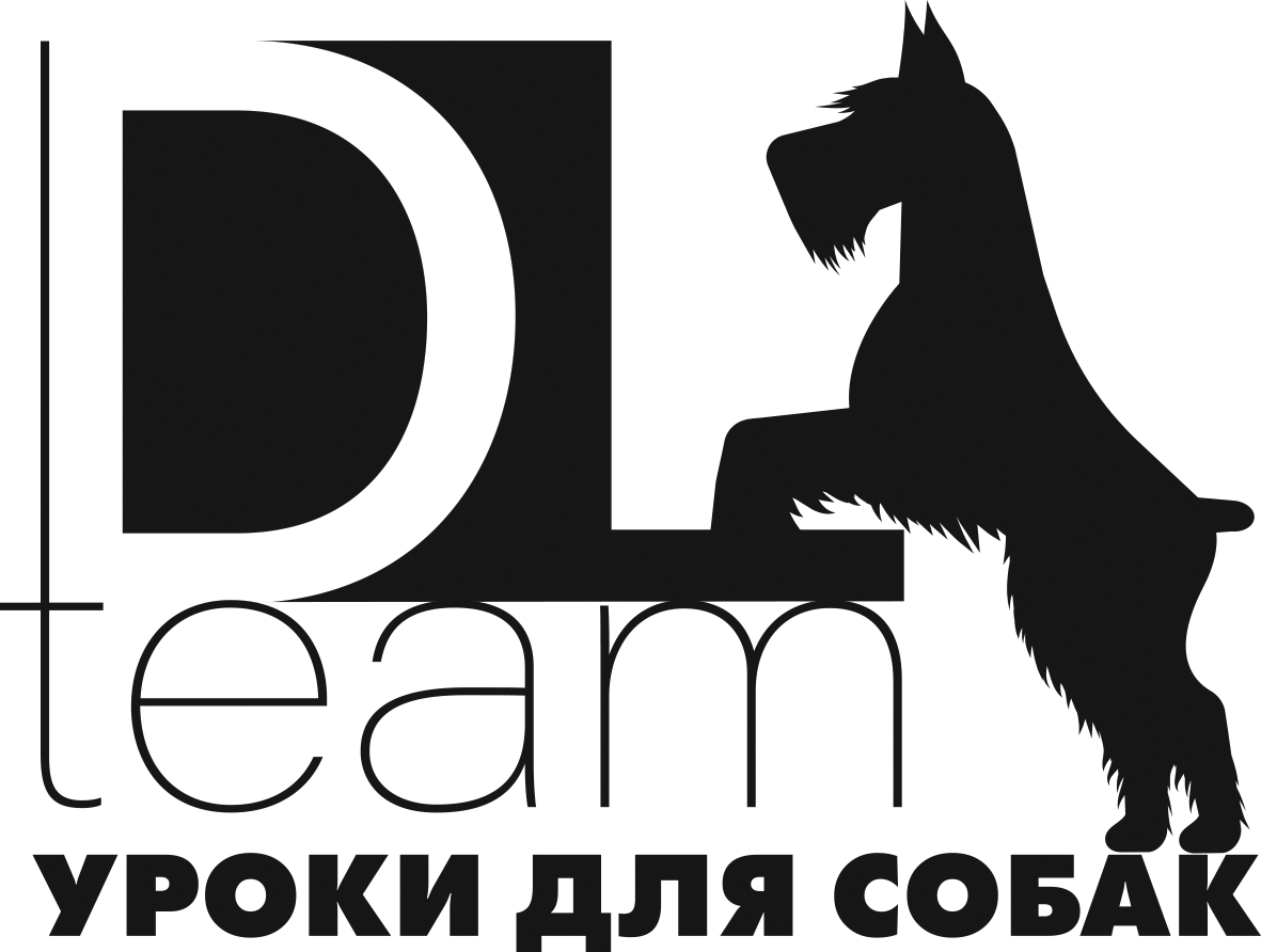 Company