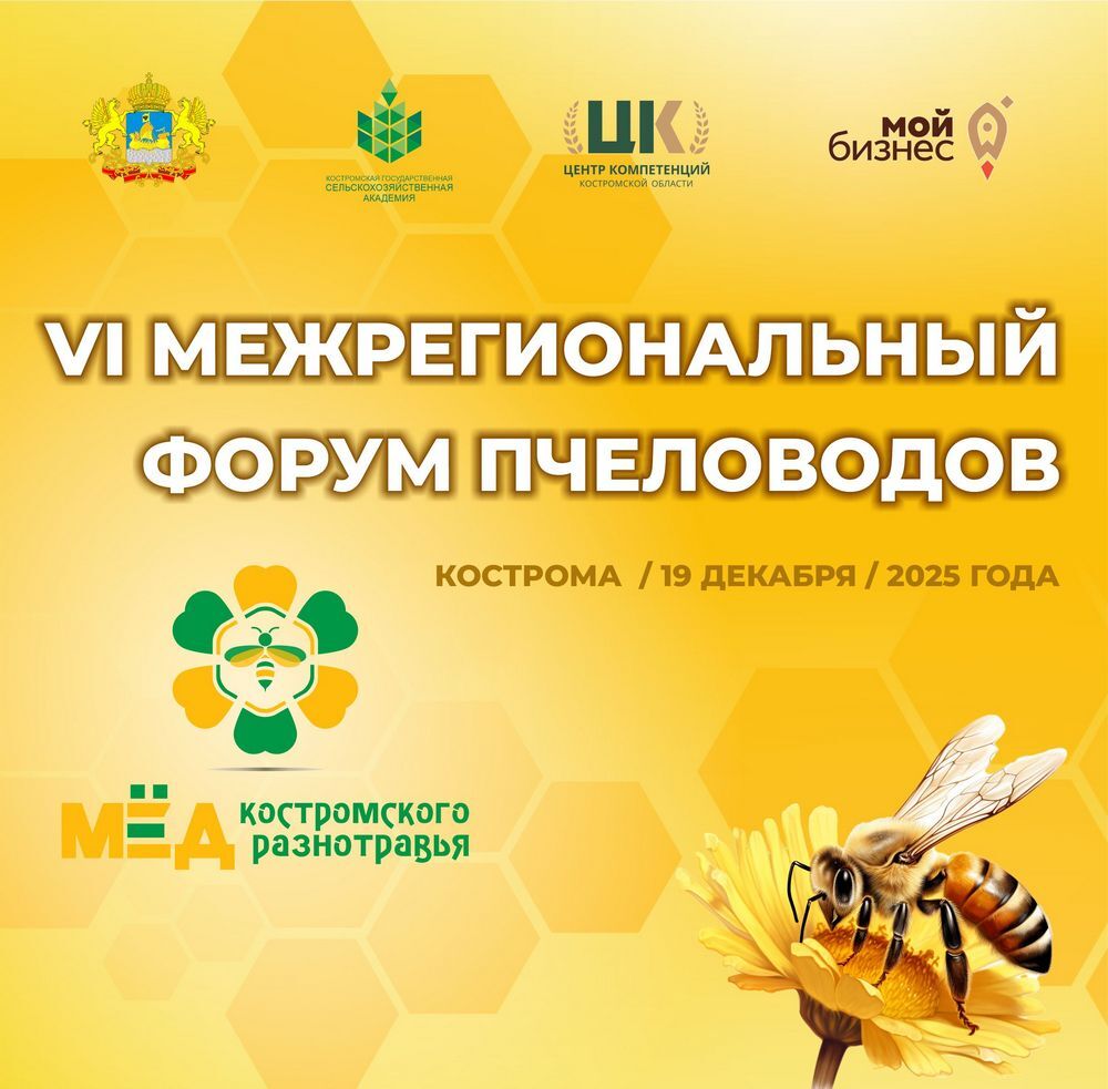 форум пчеловодов, рахматулин, брандорф, апипульс, цифровизация пчеловодства, мониторинг пасеки, мультидатчик, съезд пчеловодов