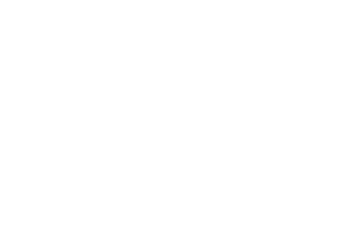 ALANDR MANAGEMENT GROUP