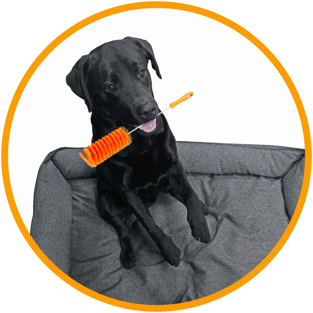 Купить кальян в Ростове-на-Дону Pro Кальян