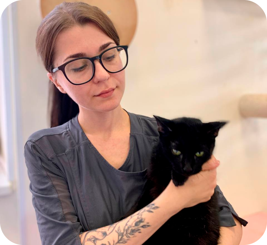 Онлайн-консультации ветеринара