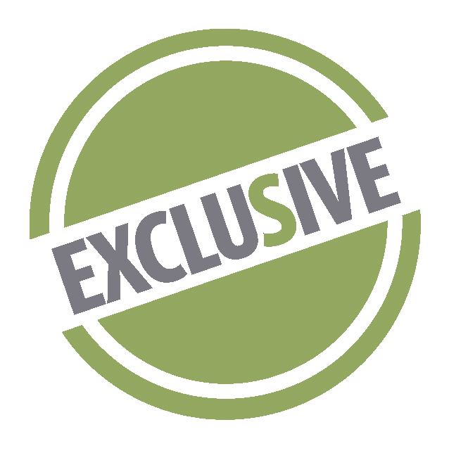 эксклюзив в регионе