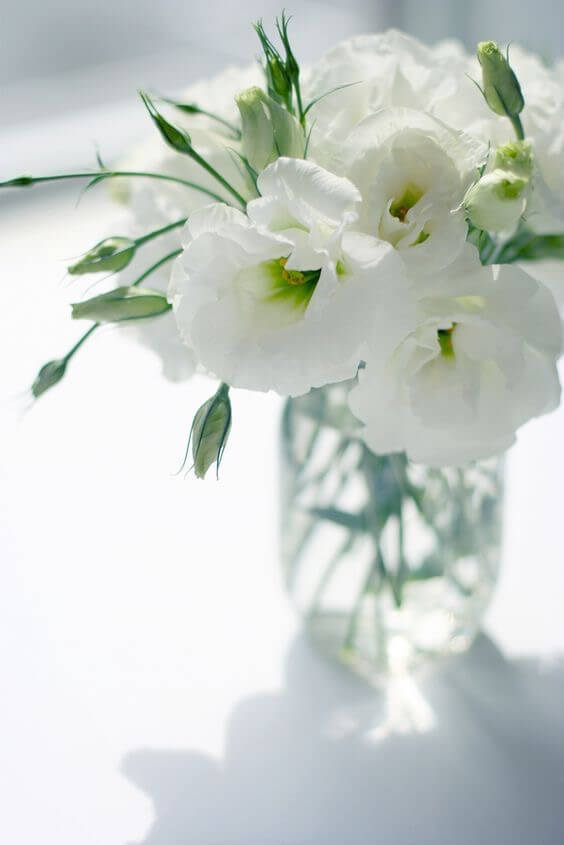 Белые Цветы Фото