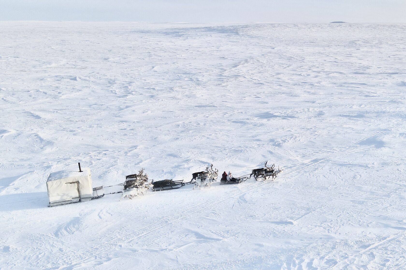 зимник таймыра. красивые фото таймыра 2022 в контакте. плато путорана эвенкия. экспедиция на таймыр. таймыр плато путорана.