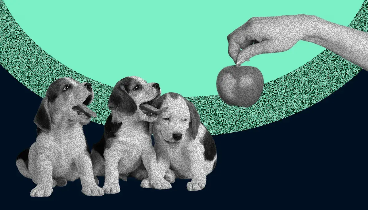 Мотивация персонала: методы и схема внедрения