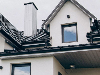 Одностворчатые