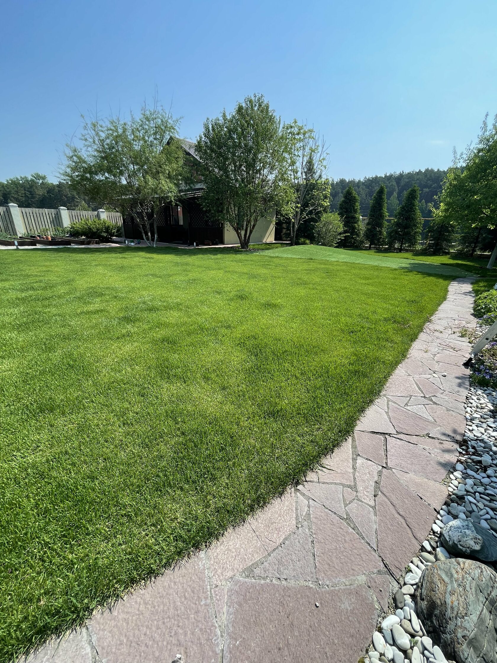 Рулонный газон в Екатеринбурге. Укладка газона под ключ. Hopta Landscape