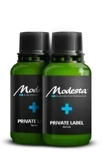 Modesta PL