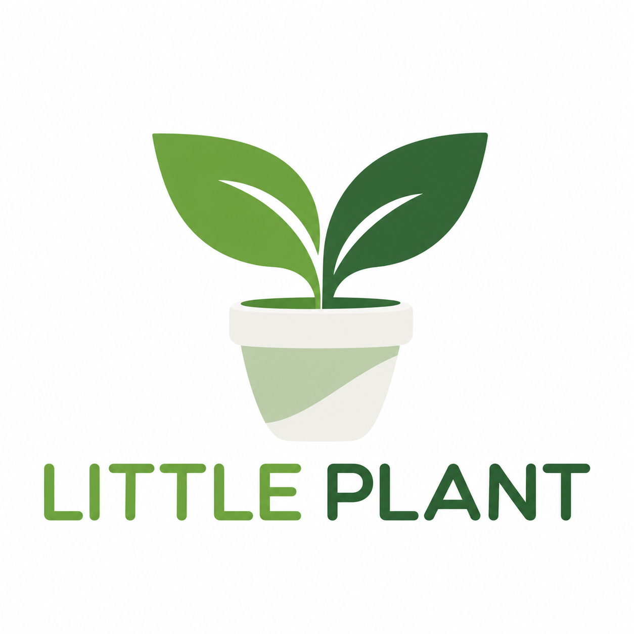 Little Plant