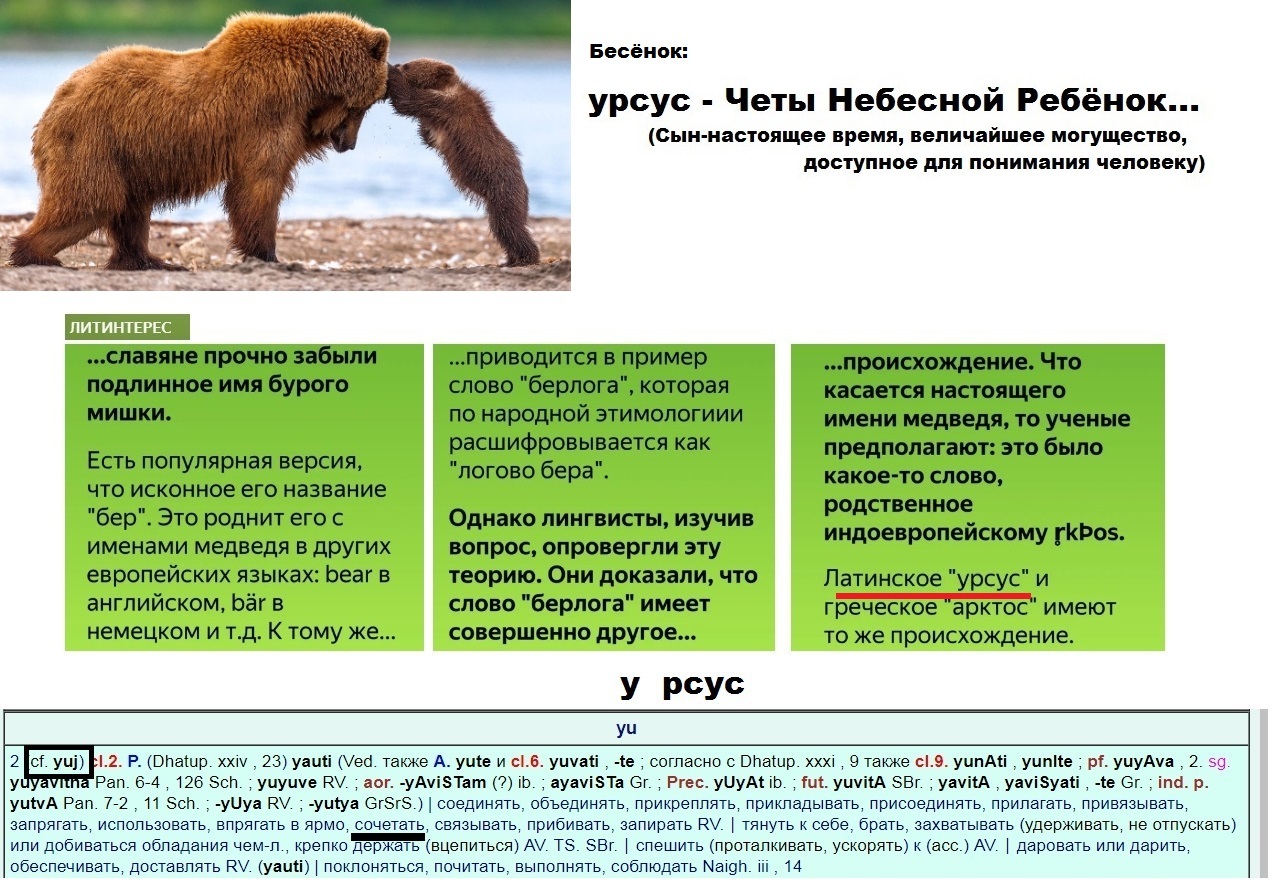 Урсус схема проезда