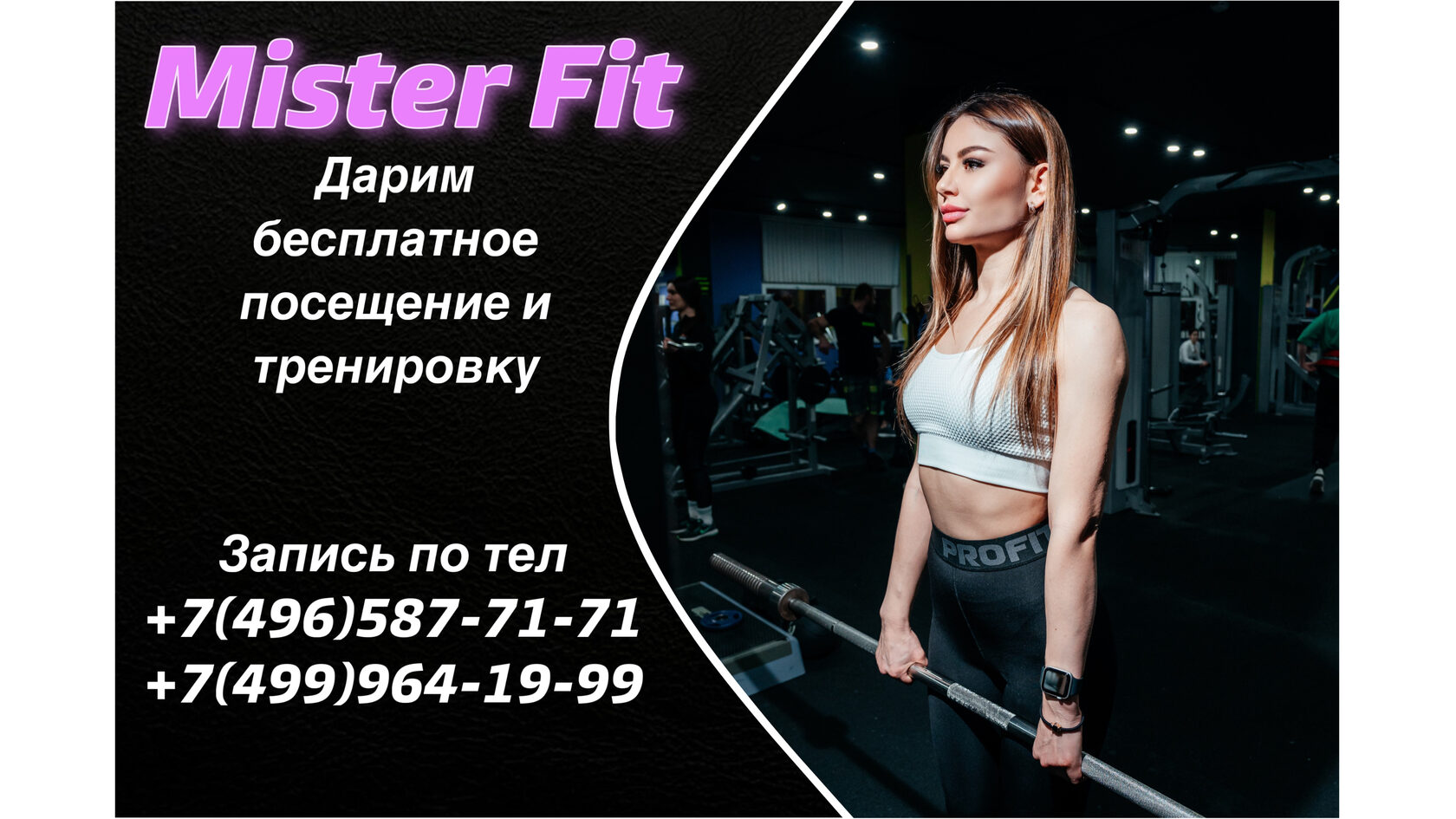 Mister Fit № 1