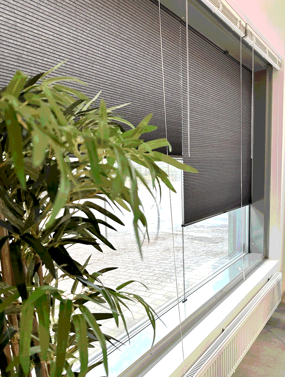 Pleated blinds