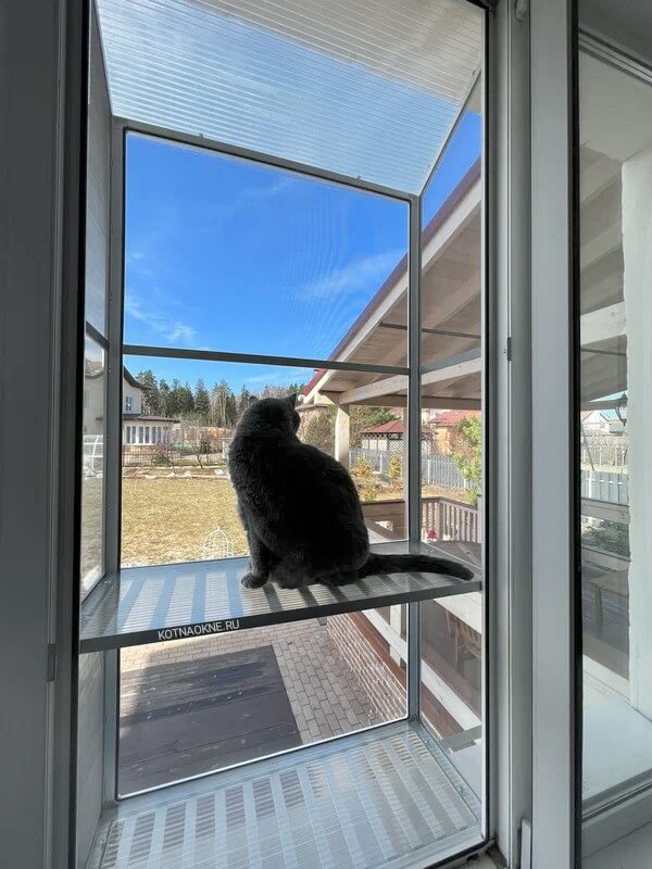 Сетка на окно для кошек антикошка купить. Сетка на балконную дверь антикошка. Антикошка на балкон. Балкончик антикошка на окна. Забор антикошка.