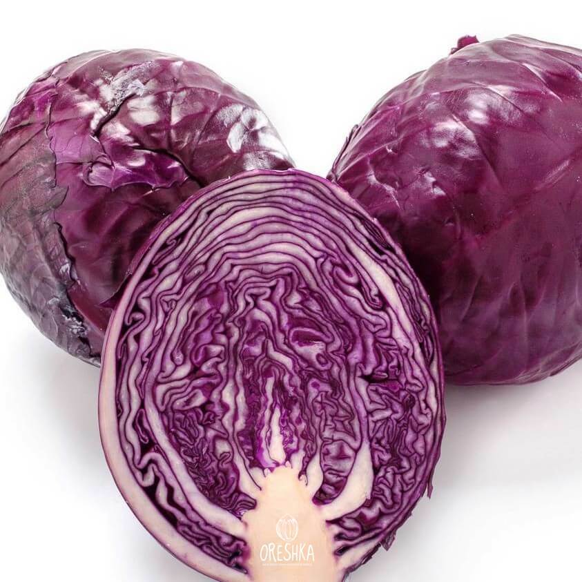 Red cabbage — Brassica oleracea heirloom
