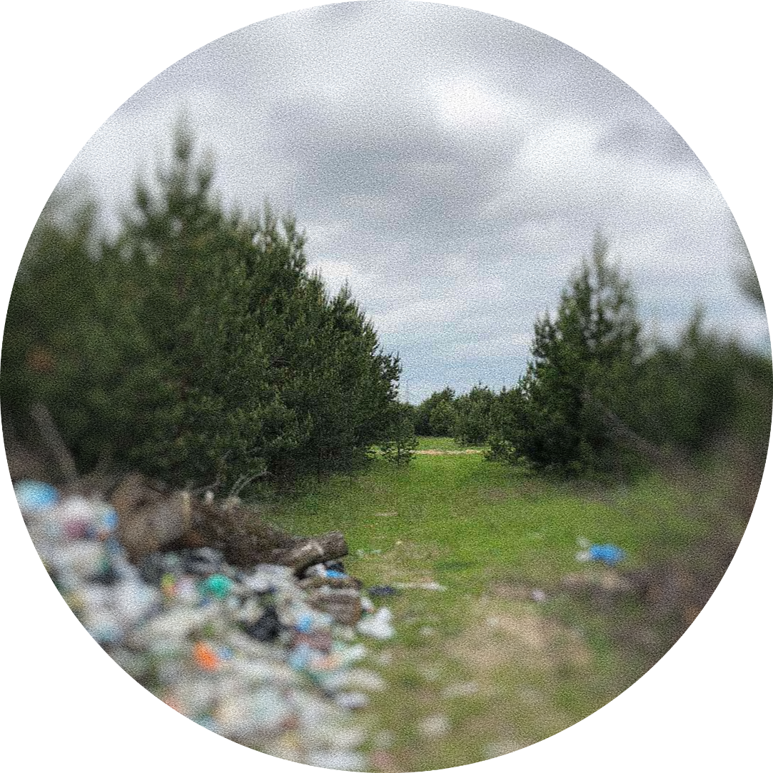 Утилизация свалка