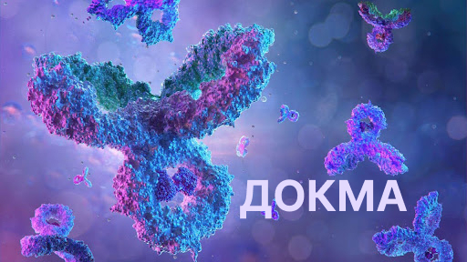 docmaschool.ru