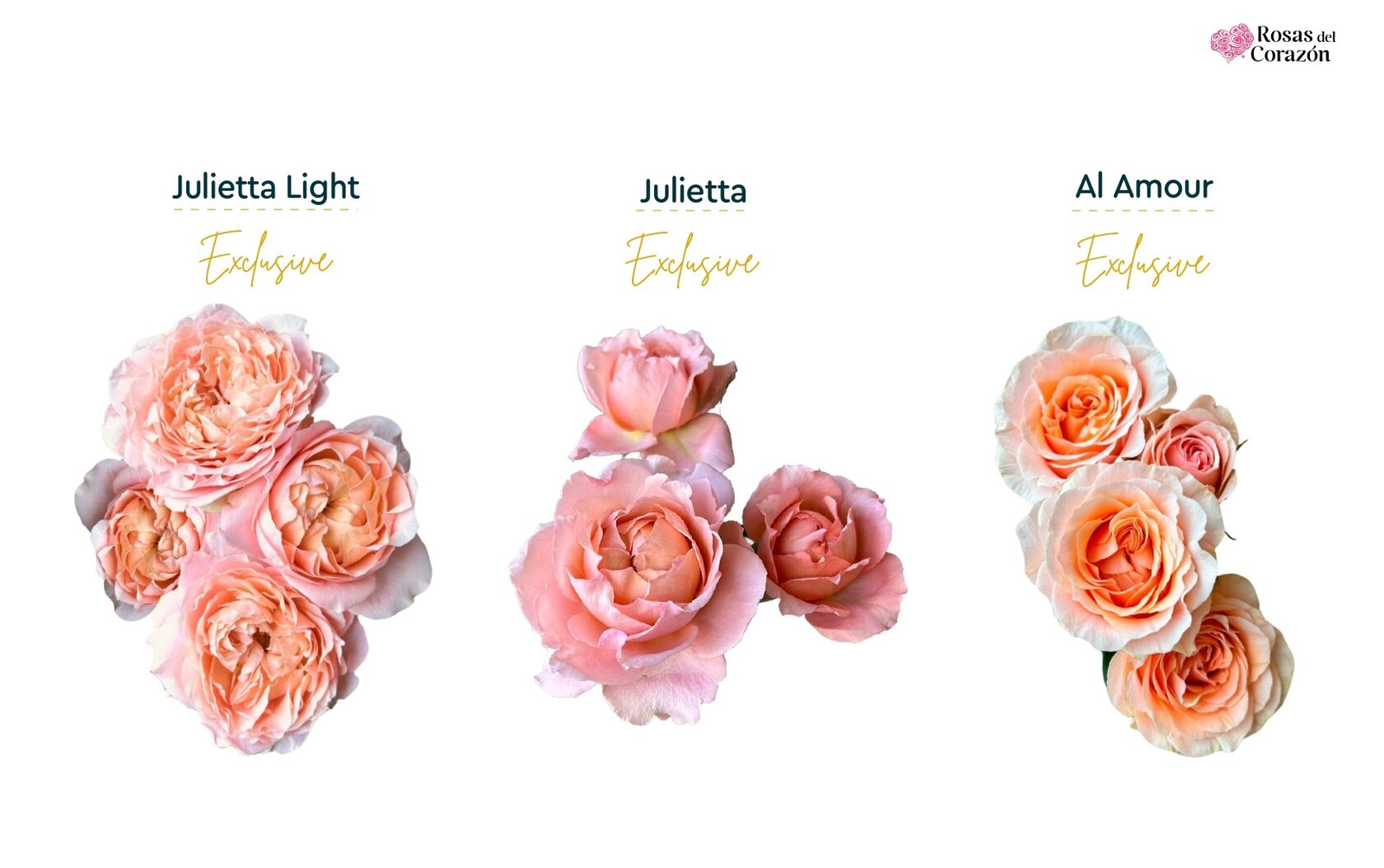 Julietta Light, Julietta, Al Amour