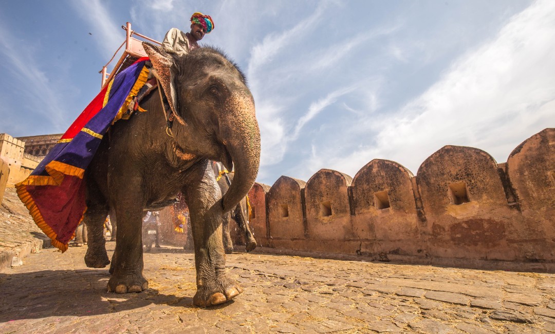 Волонтёрство в Индии